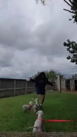 Si la apachurraron jajaja😭🤣#discapacidad #discapacidadfisica #guatemala #guatemala🇬🇹 #fyppppppppppppppppppppppp #fy #foryoupage #viral #paratiiiiiiiiiiiiiiiiiiiiiiiiiiiiiii 