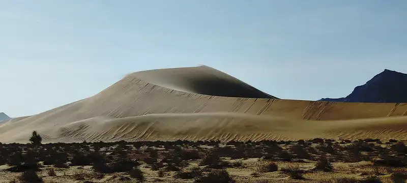 #cawl_Cawl #habarjeclo  #somalitiktok  #somaliland 