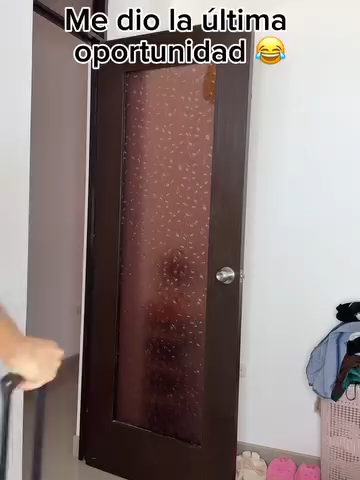 JAJAJAJA QUE RECUERDOS COMO LO DISFRUTABA FALTABA QUE TE ARRODILLES LO DIGO POR EL VIDEO PERO EN MI CASO ....... NO LES CUENTO 🤣🤣🤣 PERO DE QUE ME SIRVE QUE ME QUEDE SINO SABE LAS QUEHAECERES DOMESTICOS AHI NO ES NI FREIR UN HUEVO O QUEMAR EL ARROZ PERO COMIDA ES COMIDA CIERTO? 🤣🤣🤣 ESO SI NO SABEN PERO PARA OTRAS COSAS SON LAS PRIMERAS