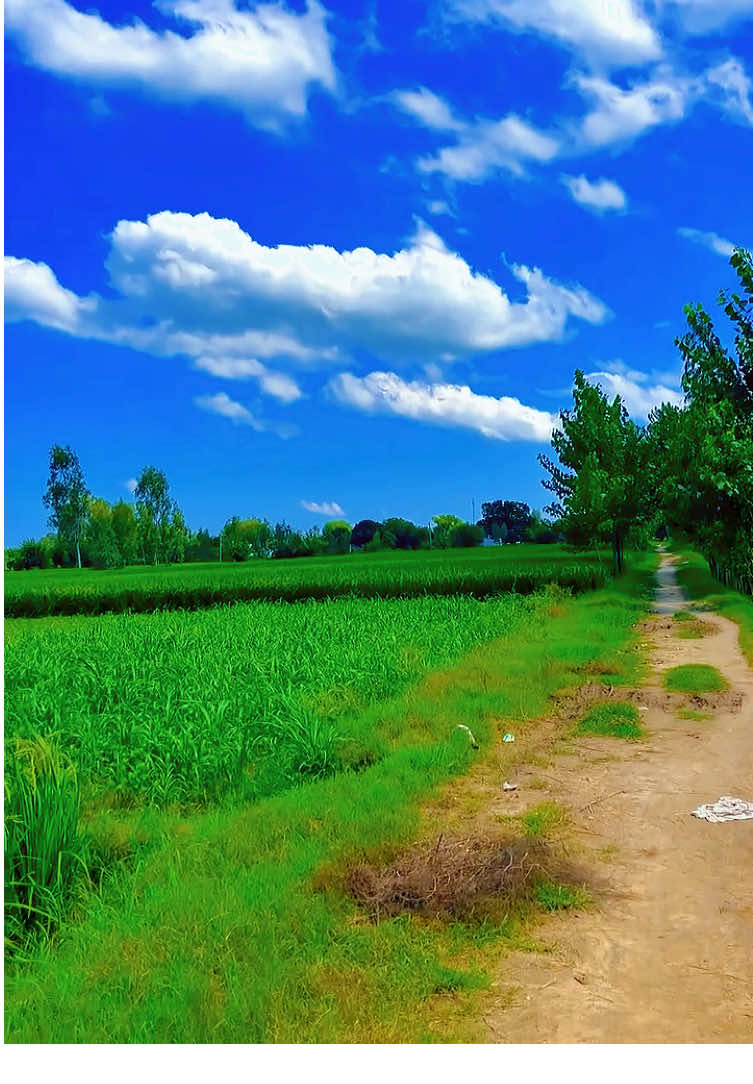 Unko Bhi Humse Mohabbat Ho#ajmerrshah77#fyp #viral?videotiktok😇😇 @ZaNiA 🦋 @Elisha Jazzy 