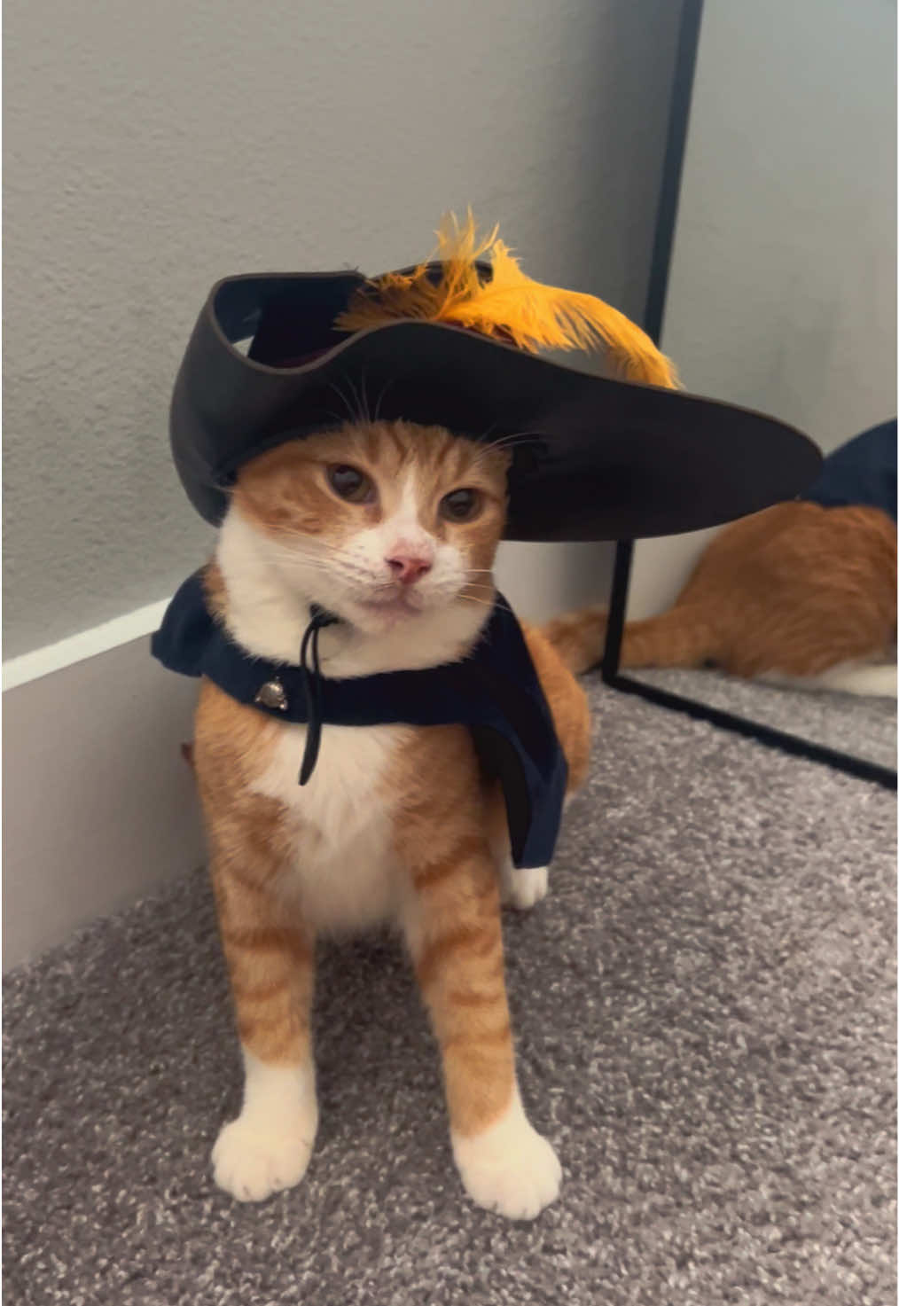 Hoy soy el gato sin botas 😂 #pussinboots #catcosplay #shrek2 #gatoconbotas2 #orangecat 