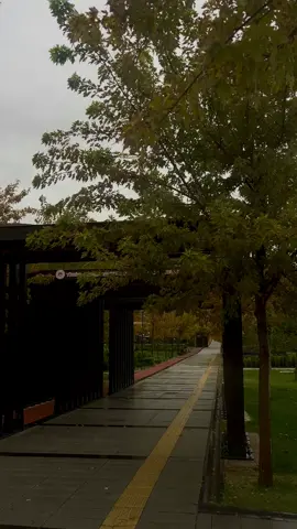 Bir Eylül yağmurusun 🌧️ #kesfet #fypシ゚ #foryoupage #storyvideo #aksaray 
