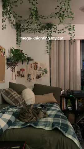 #megaknight 