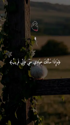 #quran #qu_ran_n #qu_ran_n #qu_ran_nقرآن #quran_alkarim