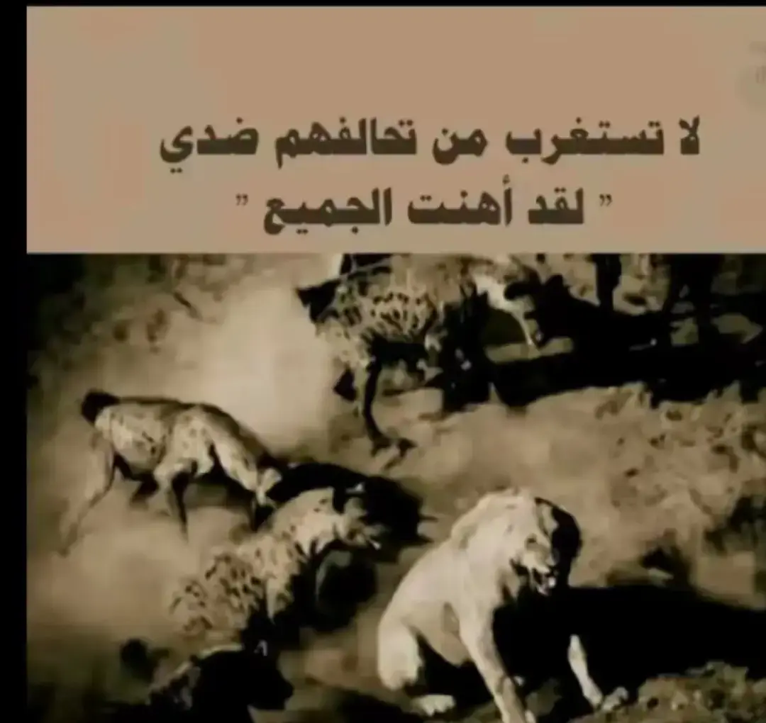 #شحات_سوسه_راس__البيضاء_طبرق_ليبيا #غزه_فلسطين🇵🇸 #رد الجواب ضبحلي 💔