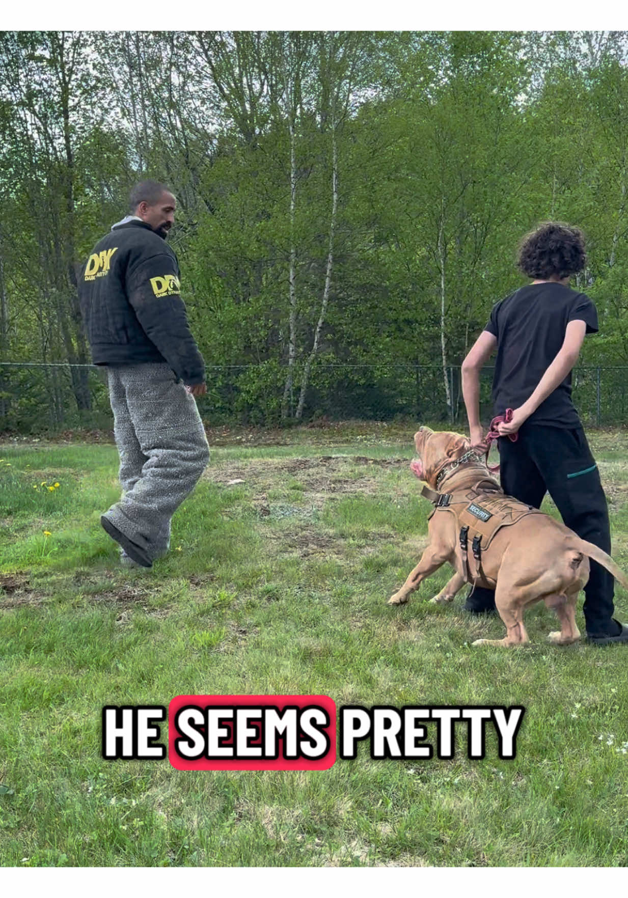 This dog is incredible his timing his ferocity his control awesome job! #fyp #foryou #dogsoftiktok 