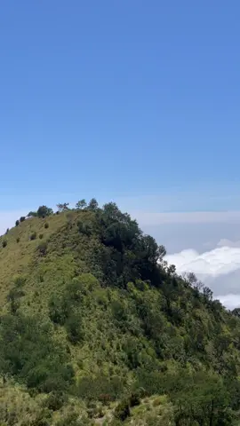 #mountain #merbabu #merbabuviaselo  