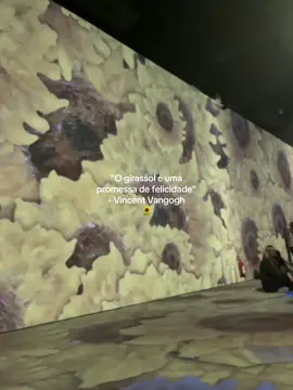 #vangogh #vincentvangogh #imersao #vangoghexperience 