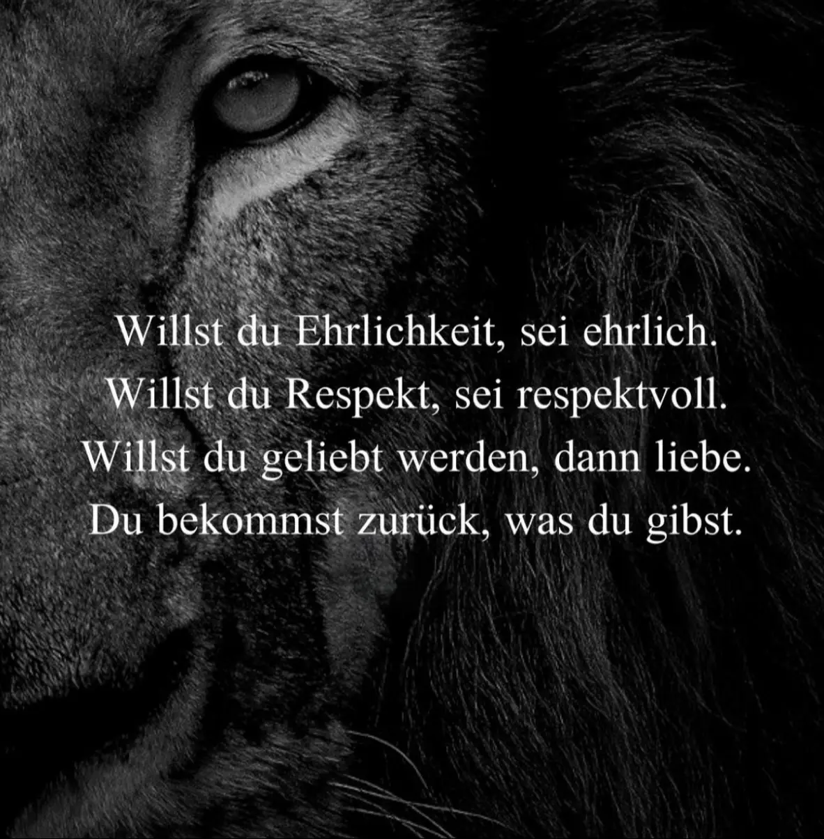 #fyp #fy #viral #for 