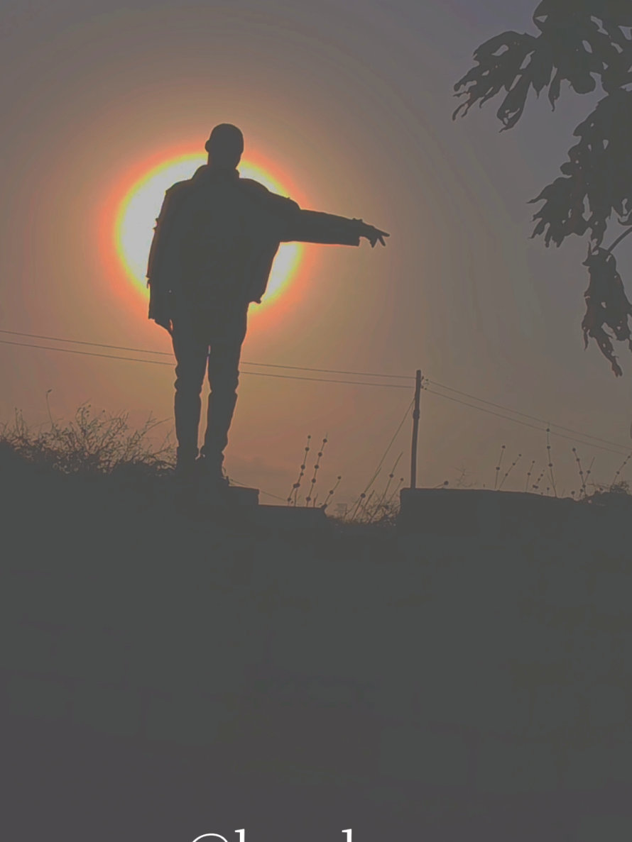 PUNCHLINE BY : @BT BOY #punchlinechallenge #viralvideos #sunsetvibes #dachshundsoftiktok #creative 