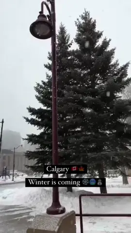 📍Calgary, Winter ❄️ #canada🇨🇦 #winter#calgary #somalitiktok #guledalberta🇨🇦🇸🇴 