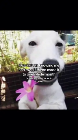 I love my girl so muchhh, she’s the best <3 #fyp #ilovemygf #viral #girlfriend #anniversary 