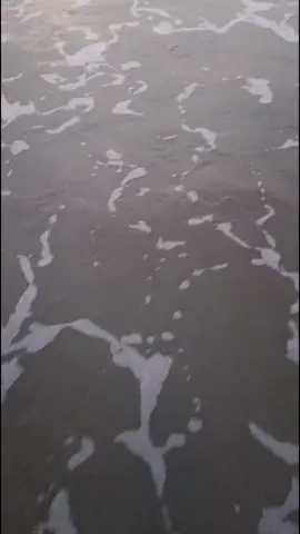 من أعماقي جوه أهديتك عواطف  عنوان للمحبة أريتك بيها عارف ! #أستودعتك_الله 