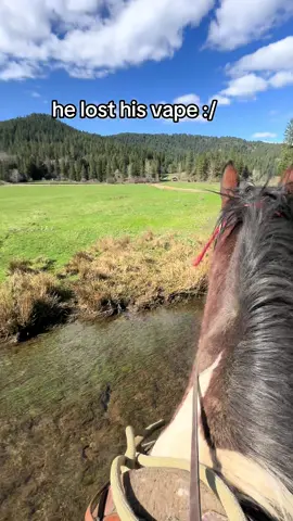 he’s desperate #fy #idaho 