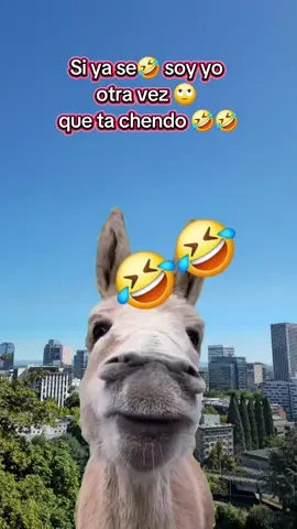 #ya se baño? #bañense #nosebañan #huelen #elburritobonito 