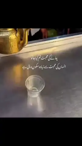 chai ki muhabaat❤️‍🩹#sumairaladi 