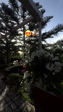 Wld l7wat😍. .. . . . . . . #maroc #chaabi #عروبية #عروبية 