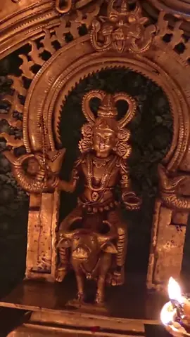 #വിഷ്ണുമായ #സ്വാമി #🙏🙏🙏🙏🙏 #🙏🙏🙏🙏🙏🙏🌹🌹🌹 