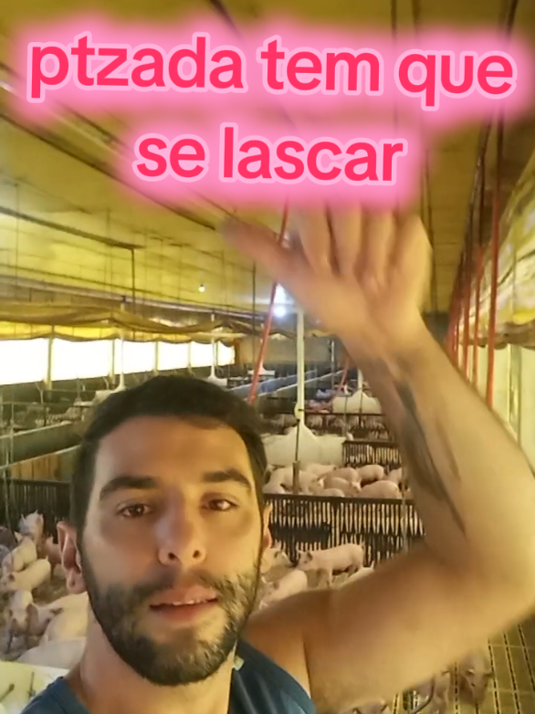 tamo junto e não afroxemo 