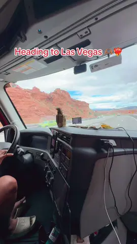 🫶🏽❤️ #OTR #fyp #lasvegasnevada #PARATI 