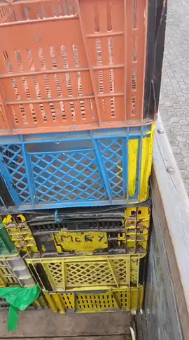 #denso #sigueme❤️ #humortiktok 