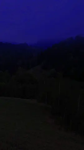 Caribbean Blue -Enya #caribbeanblue #enya #darkaesthetic #nature #dracula 