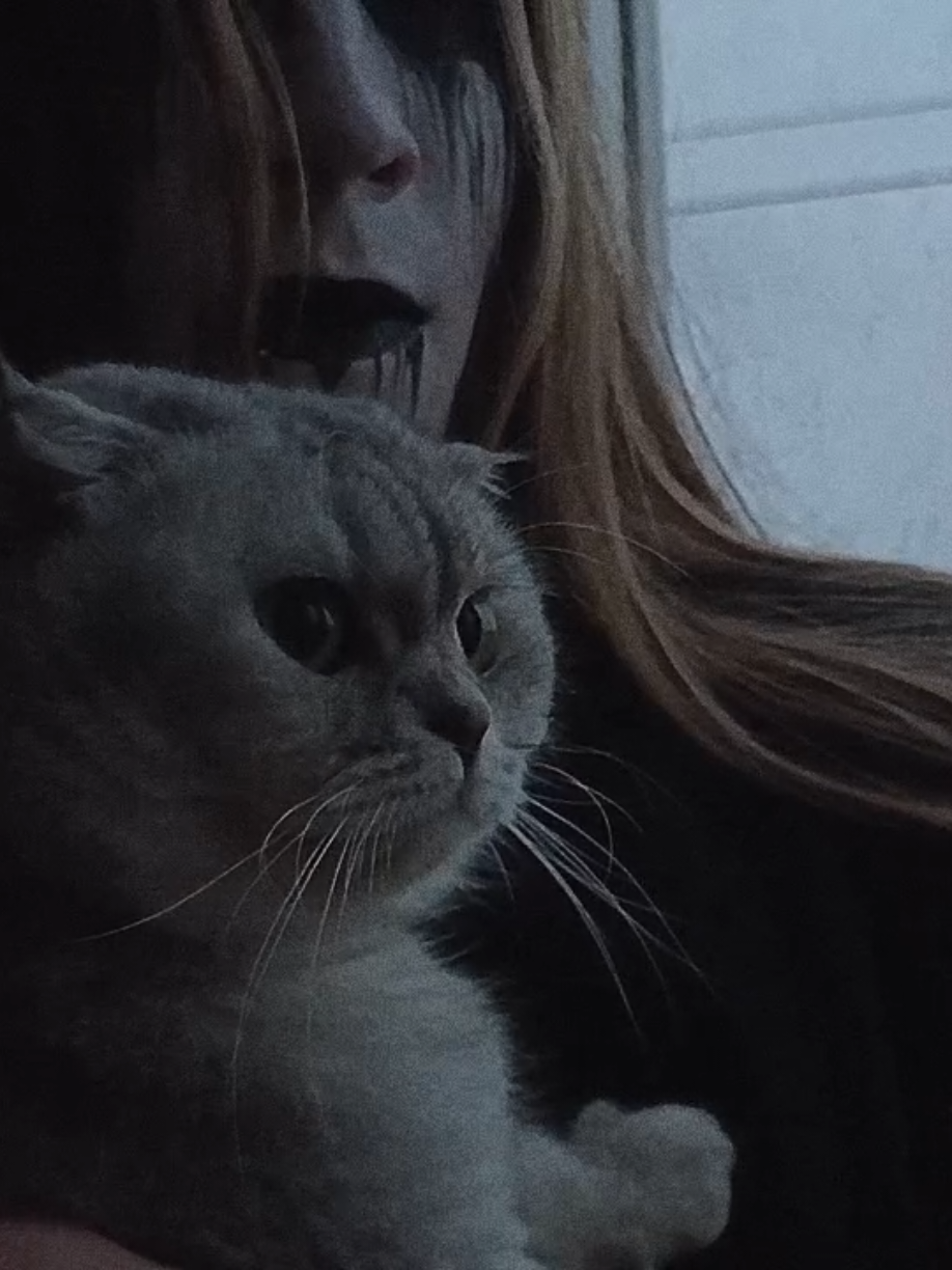 Apati cover Тгк: 𝐕𝐢𝐫𝐬𝐞𝐫𝐭𝐞𝐦 #apati  #blackmetal #dsbm #metalhead #guitarcover 