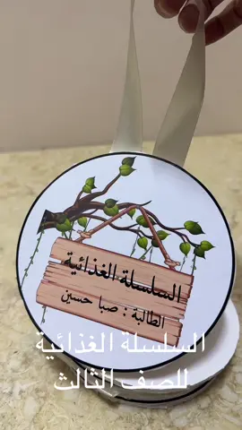 مجسم السلسلة الغذائية#السلسلة_الغذائية_صف_ثالث#السلسلةالغذائية ##السلسلة_الغذائية_صف_ثالث 