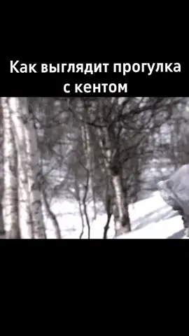 #кент#прогулка#рекомендации#жиза#реки