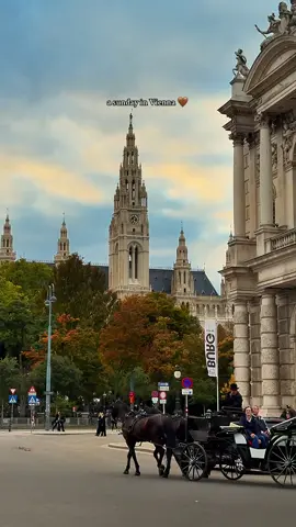 dreamiest city 🤎 #viennacity #viennatravel #vienna 