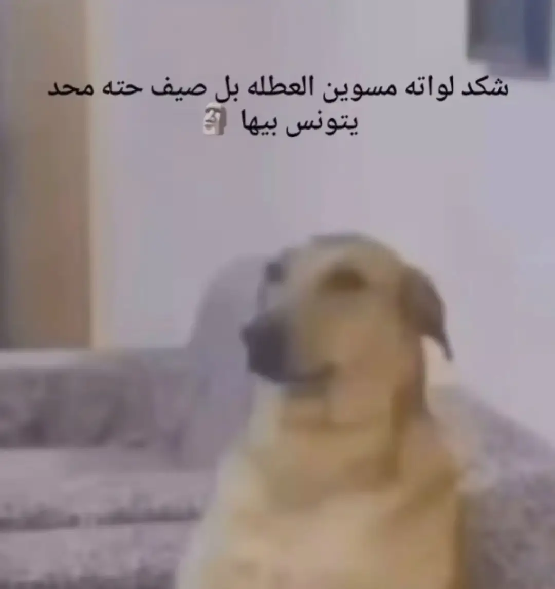 #مدرسة #عطلة #طلاب 