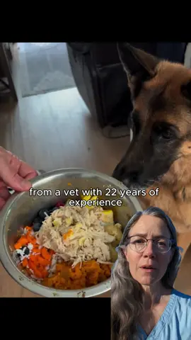 Be careful what you’re giving to your dogs🙏🐶💖 #animallover #pets #usa #vet #dogfood 