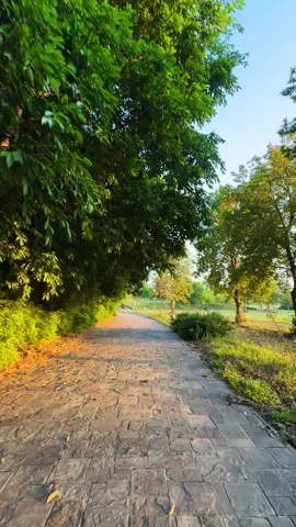 🌸💞#islamabadbeautyofpakistan #aestheticsislamabad ##weather #illu #fypシ 