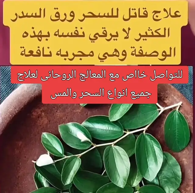 #الاعشاب_الطبيعية #المس_العاشق  #البخور #ورق_السدر #الرقية_الشرعية 