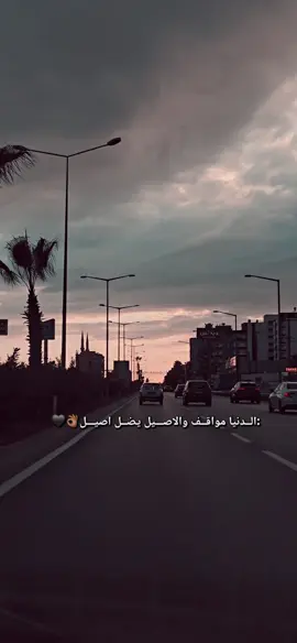 :الــدنيا مواقــف والاصـــيل يضــل اصيـــل🦅⭐#تركيا_اسطنبول_العراق_سوريا_مصر #explore #شعب_الصيني_ماله_حل😂😂 