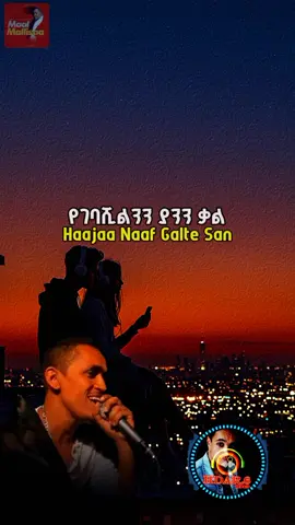 (Eessa Jirta) #haacaaluuhundeessaa #lyrics #music #foryou #oromomusic 