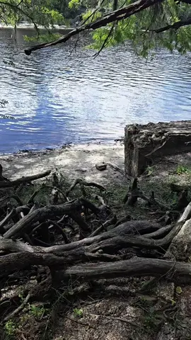 #nature #divinefeminine #energyhealing #theway #spiritualtiktok 