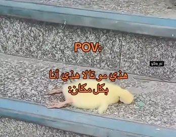 شسوي احب النوم