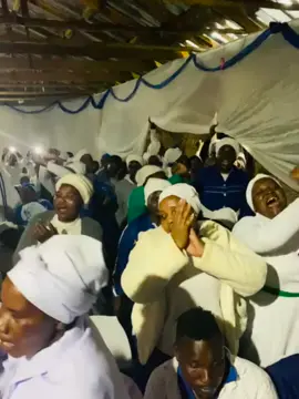 holiness yohulesa ai👌👌