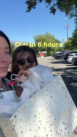 Ojai is a must if you’re near the LA area and need a little day get away. We went for about 6 hours and here’s everything we did: The Dutchess for Brunch-ask for James for your server Barts Books Antique Shops Heavenly Honey-bought the Wild Blackberry Three Birds-for our 2nd matcha of the day