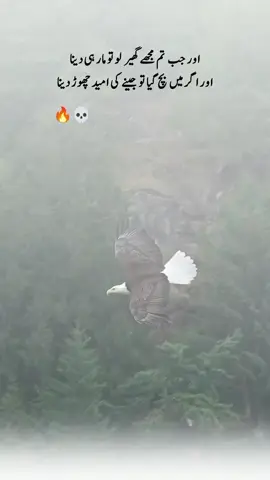 #foryoupageofficiall #foryoupageofficiall #foryoupageofficiall #foryourpage #foryourpage 