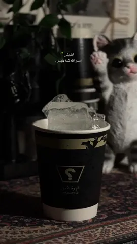 #fyp #viral #foryoupage #بودكسات #fypシ 