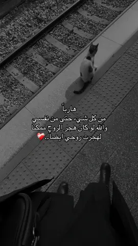 #اميرة_برج_السرطان #fypviralシ゚viral #اكسبلورexplore #fouryou 