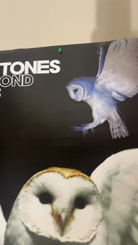 Deftones Diamond Eyes Poster #deftones #diamondeyes #rockband #roomdecor #deftonesfan 