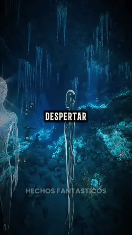 Los humanos confunden pensar con despertar. #metafisicaoscura #realidad #paranormal #filosofia #fantasia 