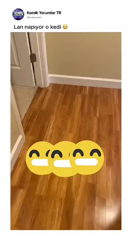 Lan napıyor o kedi 🙀@Mert