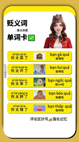越南语 贬义词
