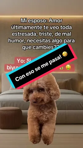 Moneeeeey! De veras de veritas con eso tengo jajajajjaa 🤣🤣 #Meme #humor #esposos #fyp #viral 