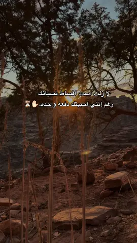 #viralvideo 