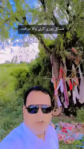 #shirk #پیرپرستی #peerparasti #قبرپرستی #مشرک 